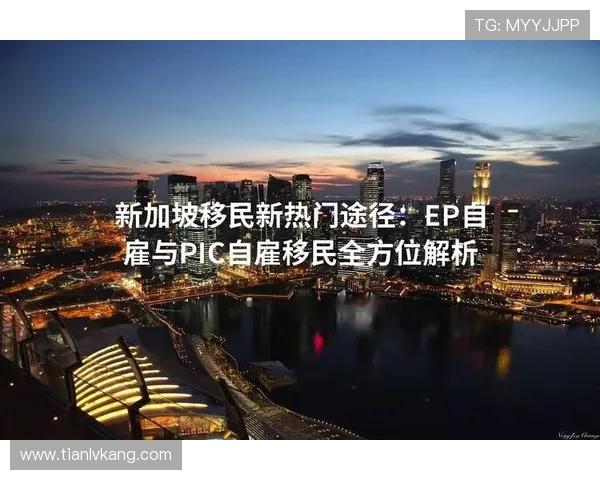 问鼎官网地址最新查询方式，轻松找到官方入口途径解析