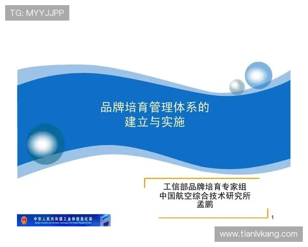 开云集团品牌管理的成功经验与面临的挑战分析 开云集团品牌管理的成功经验与面临的挑战分析