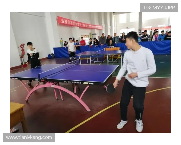 乒博体育中心全面介绍与设施特色详解助你享受专业乒乓球体验 乒博体育中心全面介绍与设施特色详解助你享受专业乒乓球体验