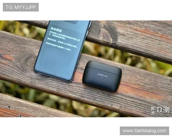 获取问鼎app最新官网下载安装包的最佳途径与注意事项全攻略