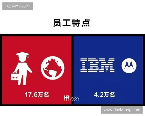 问鼎28pc注册入口常见问题解答及注册遇到的问题解决方案