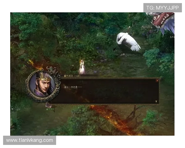 问鼎登录中心如何应对登录失败问题确保游戏账号快速恢复正常使用