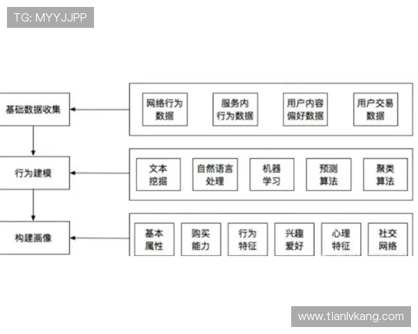 问鼎网页板：打造高转化率网页的内容策略与用户行为分析技巧