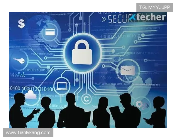 问鼎网页版登录方式安全性分析，保障用户账户信息安全的有效措施